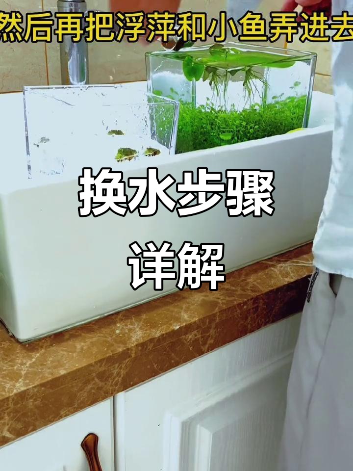 微景观鱼缸换水全攻略,轻松搞定水质问题