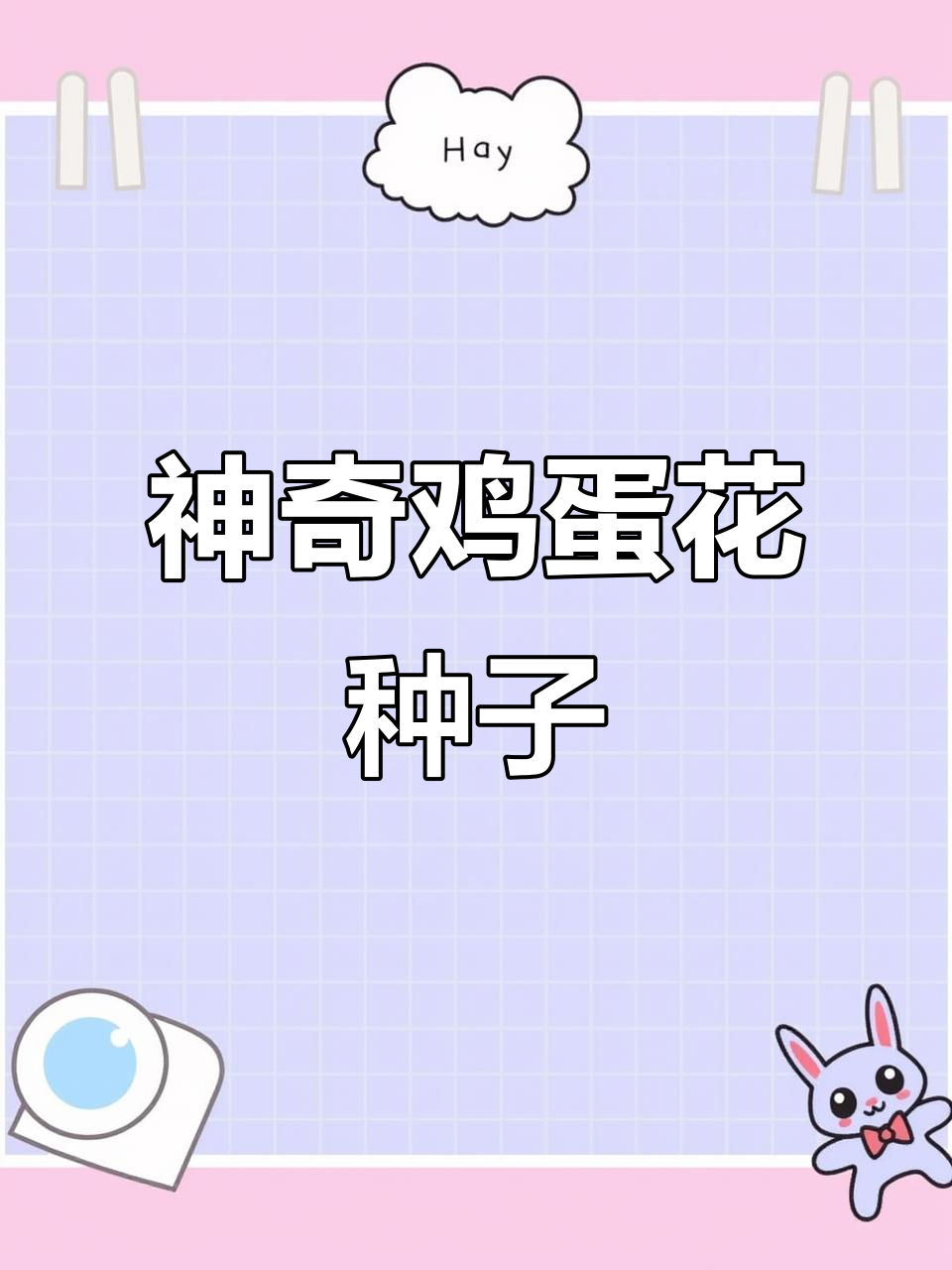 鸡蛋花种子：像长了翅膀的小精灵，随风飘散寻找新家