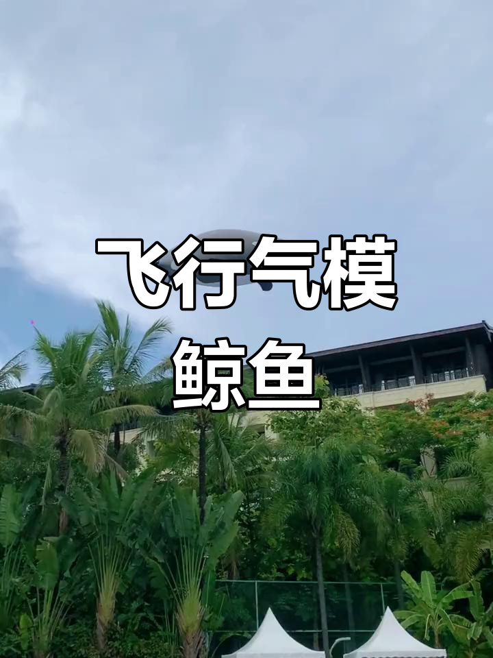 遥控飞行鲸鱼表演,震撼全场