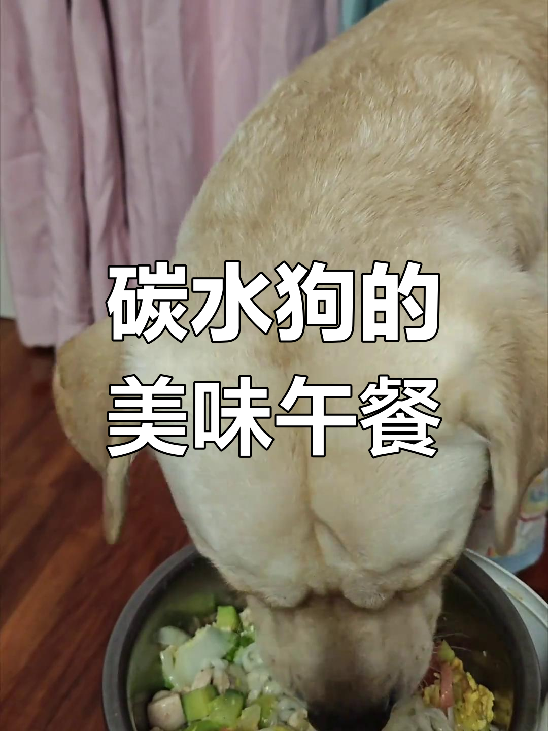 盖浇面与宫保鸡丁的完美搭配,黄瓜和鱼油也不容错过