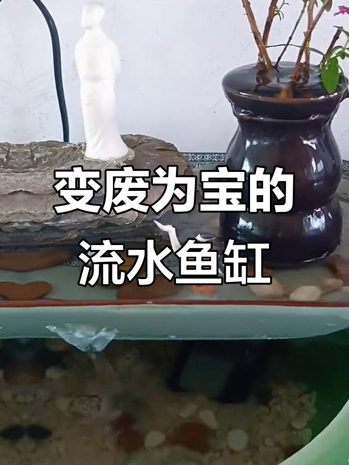 废物利用做流水小鱼缸,鱼碟变宝贝!