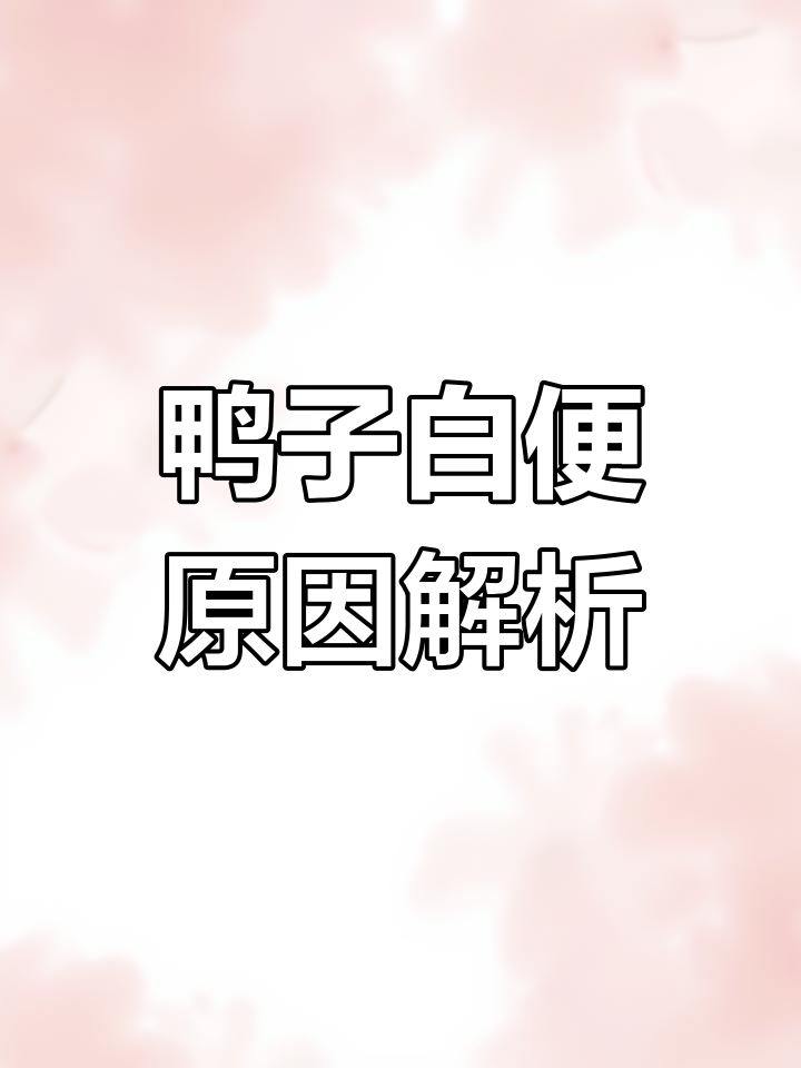 鸭子拉白色粪便的原因分析,如何判断是否正常