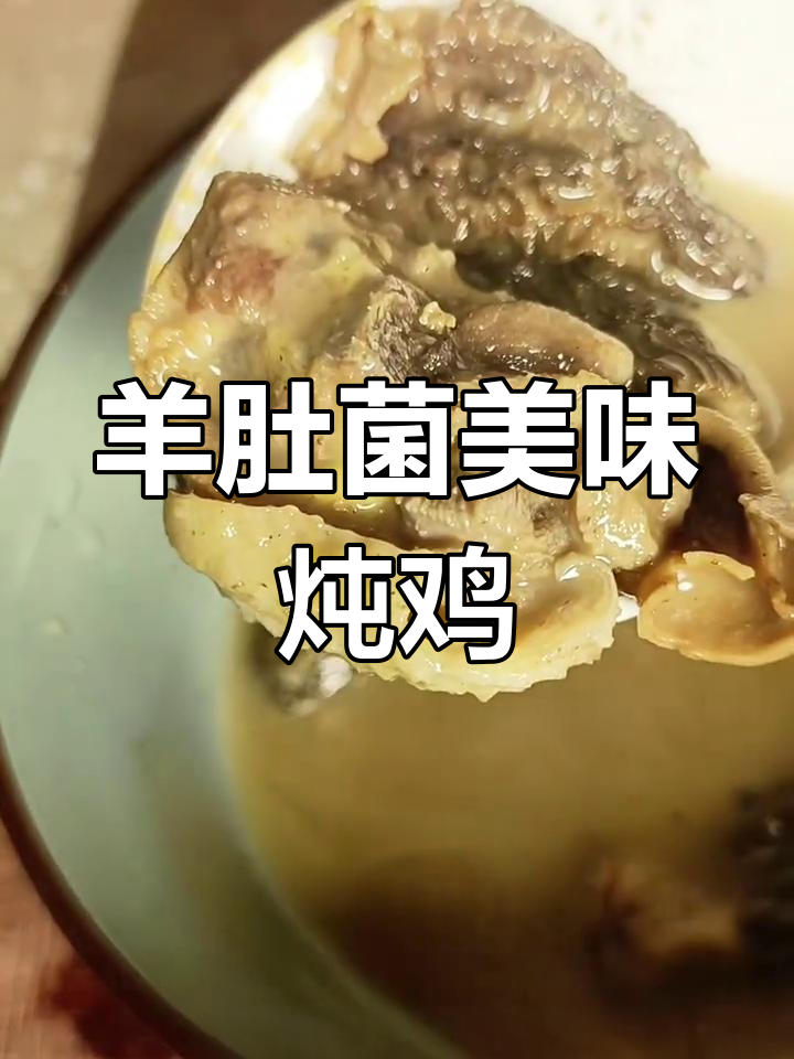 羊肚菌炖鸡肉,香气扑鼻,鲜美十足!
