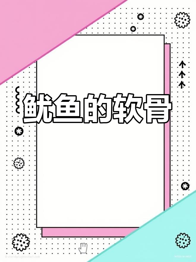 鱿鱼骨头揭秘:别误认塑料