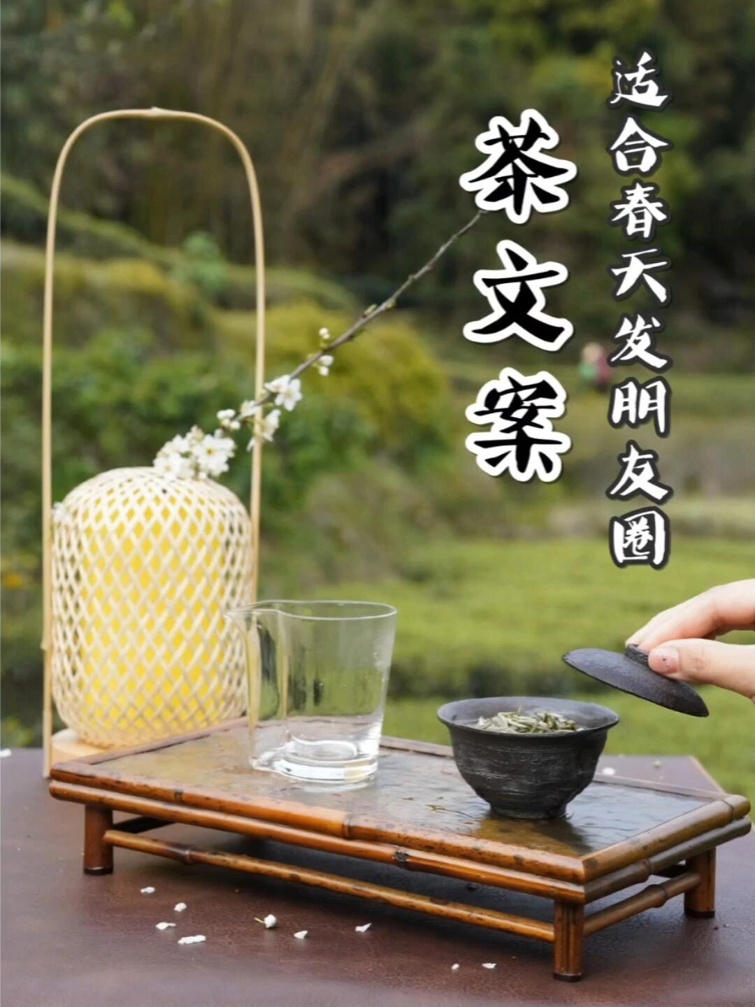高级感|适合春天发朋友圈的茶文案