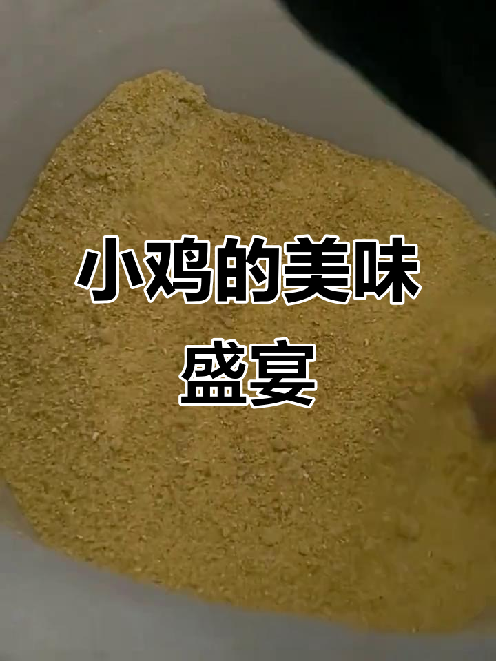 小鸡回家就能吃到发酵好的食物,准备开吃!