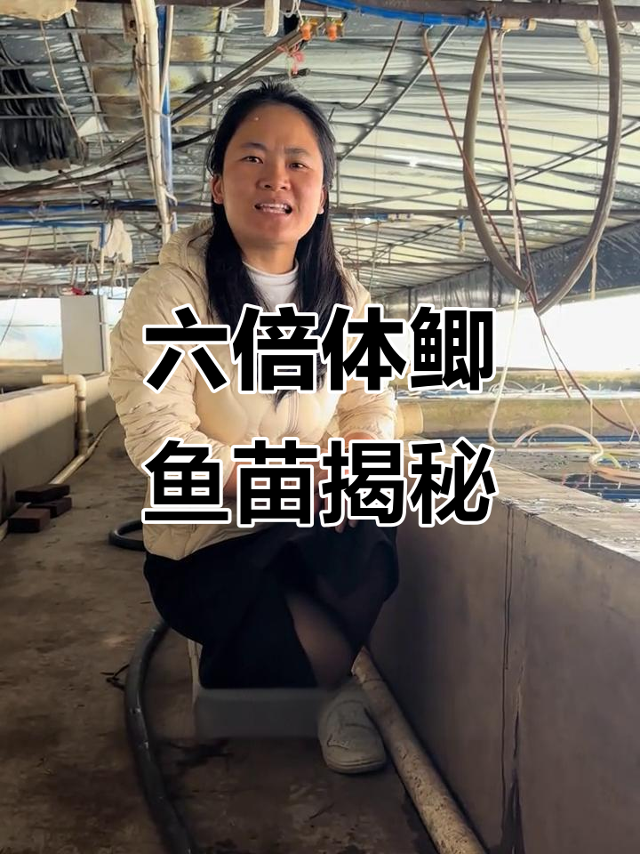 六倍体鲫鱼卵的秘密,近距离观察神奇水花