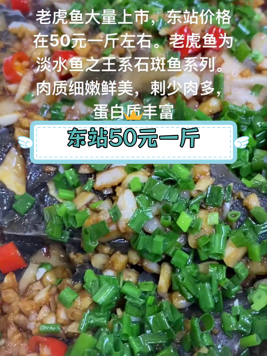 老虎鱼上市,肉质鲜美价格适中