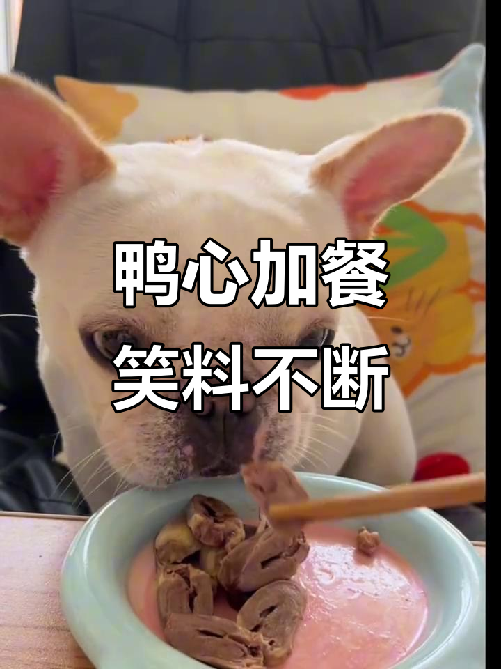 鸭心大餐来袭,金箍棒乱舞搞笑瞬间