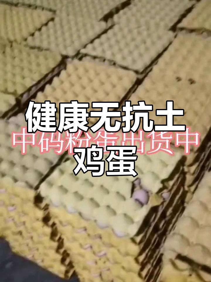 生态散养土鸡蛋,健康绿色新选择