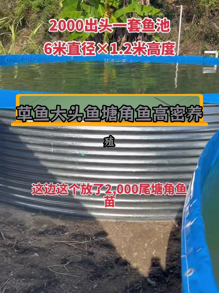 高密度养殖鱼池设计解析