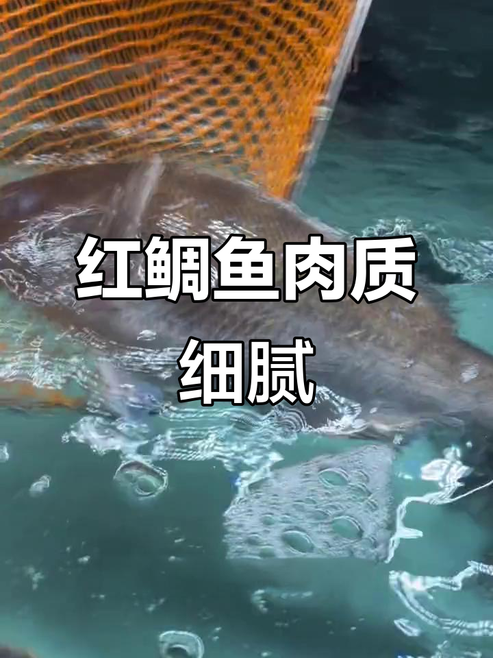 深海红鲷鱼刺身,鲜嫩无骨,低脂高蛋白美味体验
