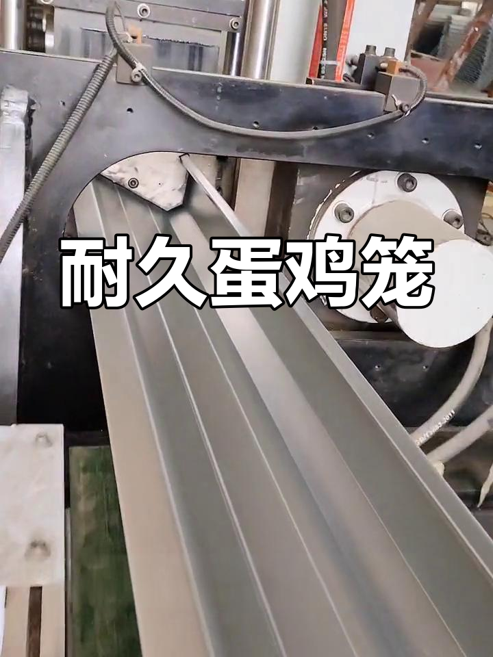 铁食槽与蛋鸡笼完美结合,耐用设计,冷弯工艺一次成型