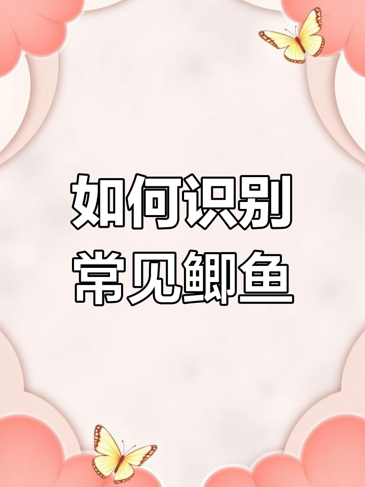 钓鱼人必学:如何区分不同种类的鲫鱼
