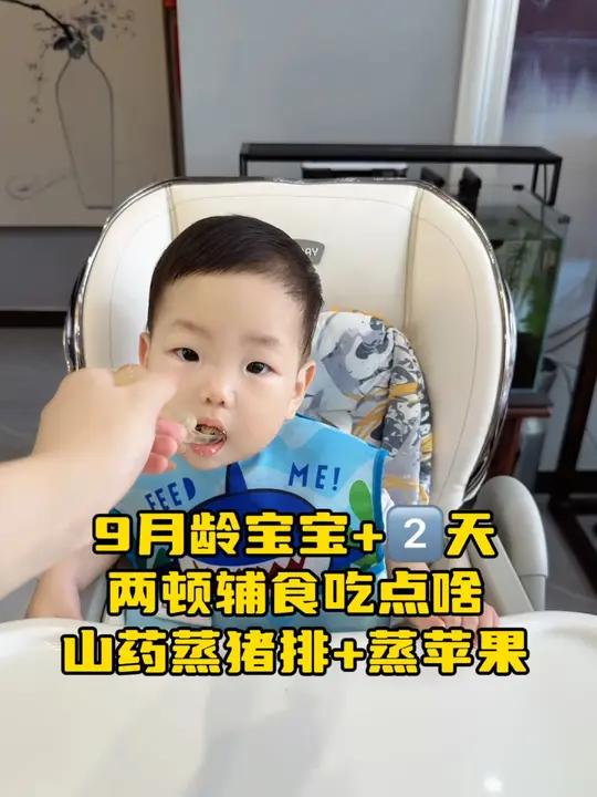 来看看9个月宝宝一天两顿辅食吃点啥?1上午吃山药蒸肉排,鲜香味美。2下午吃化积食神器蒸苹果