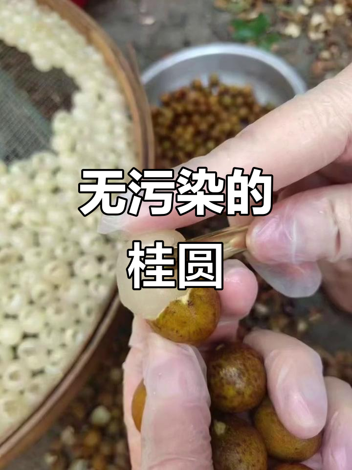 桂圆：纯天然无污染，健康又美味