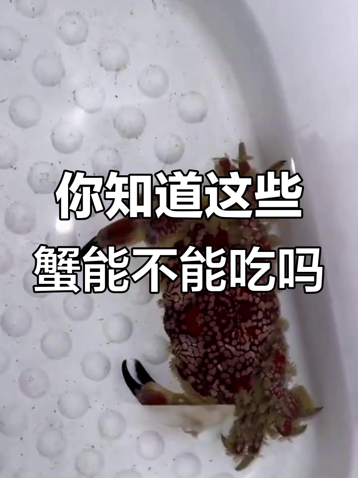 20种螃蟹大揭秘，哪些能吃？哪些有毒？