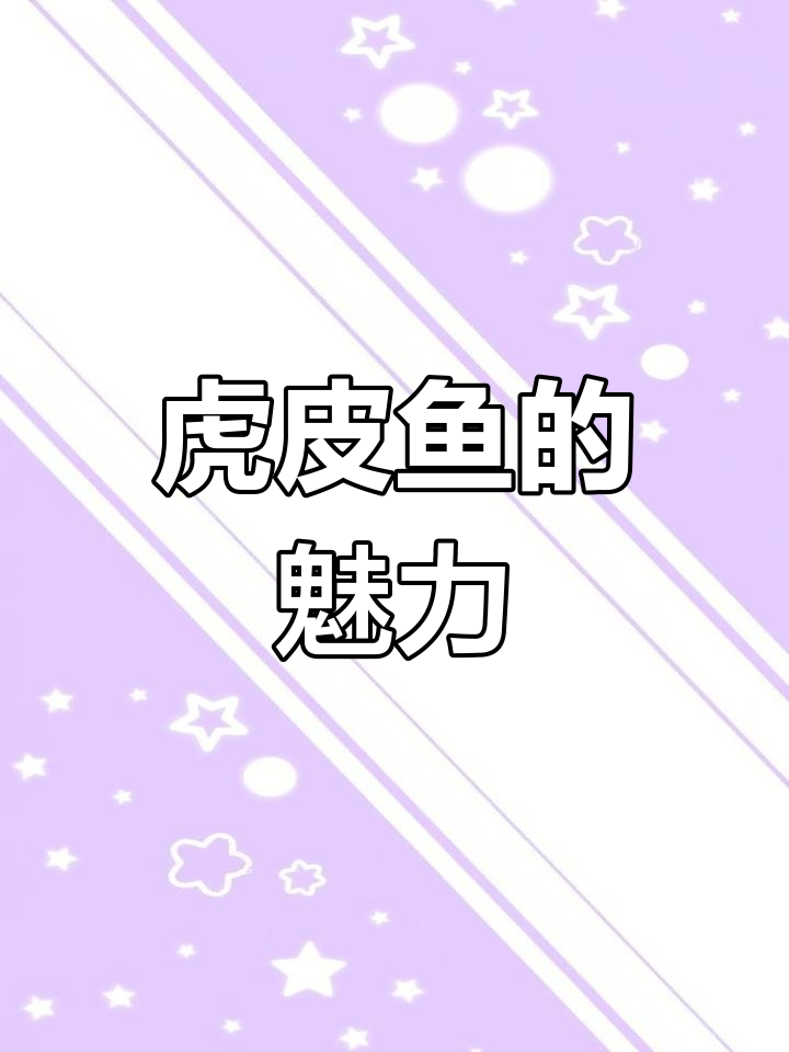 虎皮鱼,便宜又好养,群游美如画,适合新手入门
