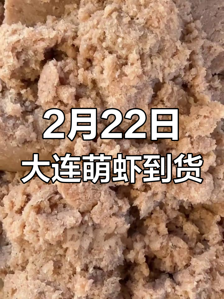 大连蜢虾新鲜到货,简单两分钟学会做大连虾酱