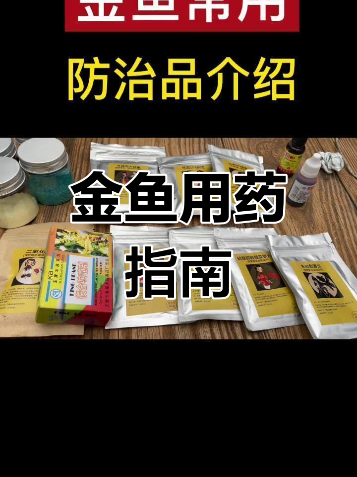 金鱼常见病防治药物介绍