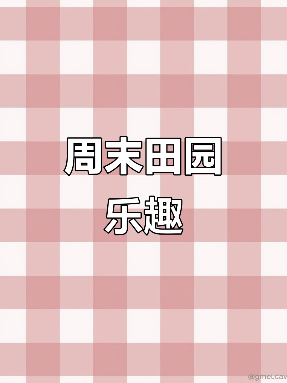 周末放松,钓鱼、挖野菜,还有可爱狗狗等你来玩!