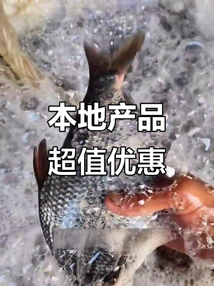 本地新鲜蔬菜大甩卖,鳊鱼、生菜统统十元一斤!