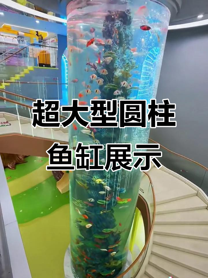 超大圆柱鱼缸开灯,震撼景观来袭!