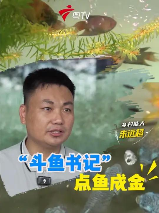 昔日水沟小鱼,今日网红爆款!阳江第一埒村靠“一条斗鱼”游出年销8300万+的电商传奇,背后