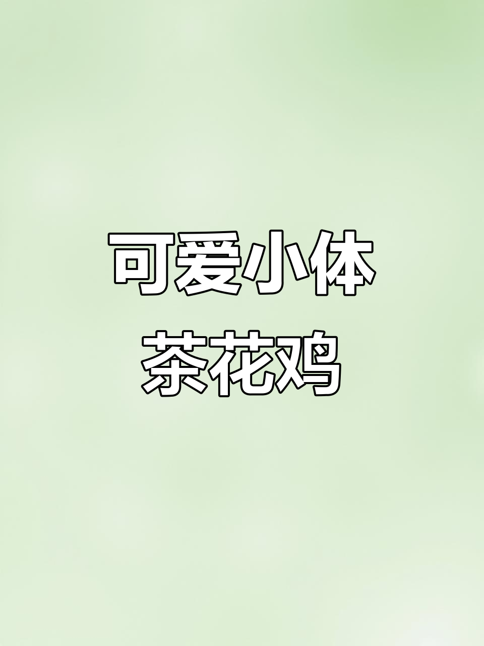 小体型大白耳茶花鸡,性格温顺适合当种鸡