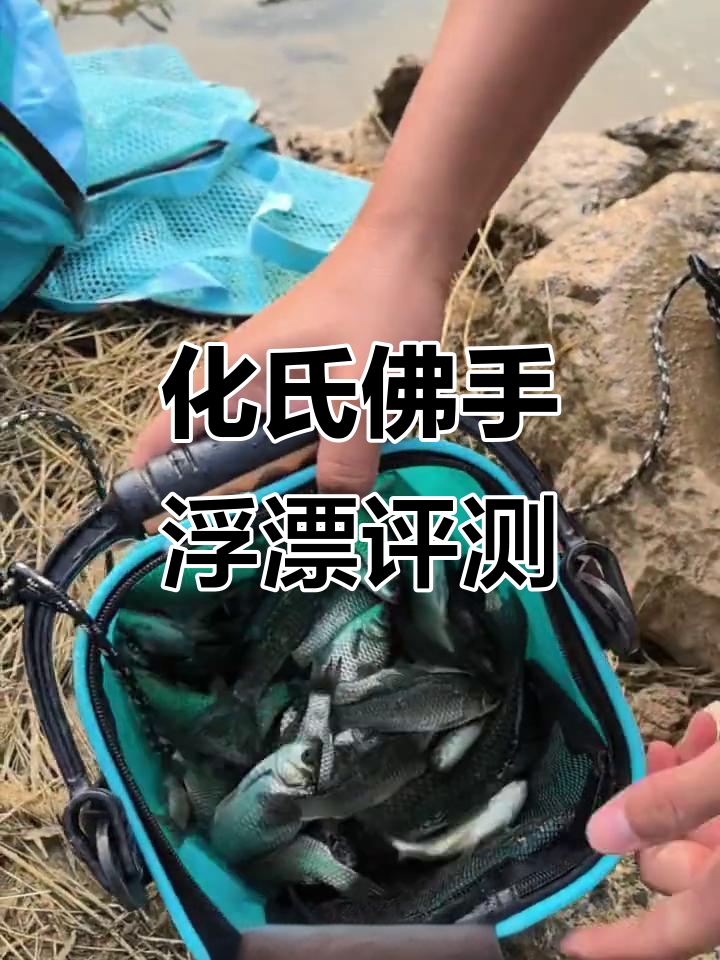 浮漂测试:化氏佛手竿长五点四米,底钓效果出色