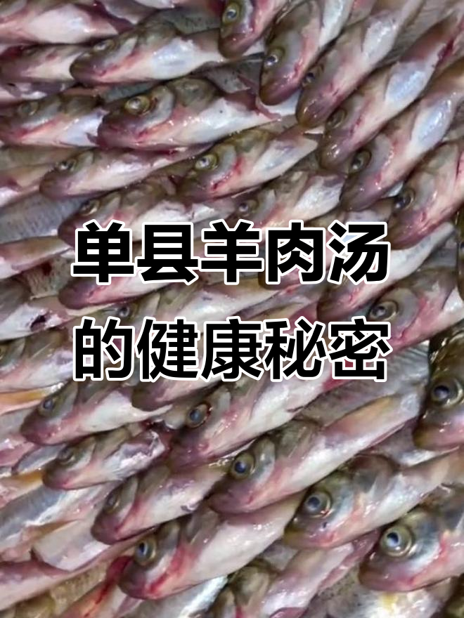 羊肉汤的抗癌功效与单县历史揭秘
