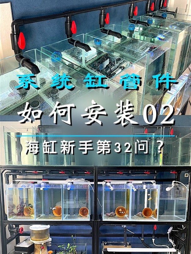 小丑鱼繁殖缸安装管件第二期