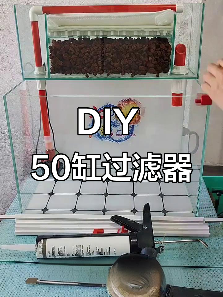 自制50缸过滤与盖子，黄河水养鱼体验