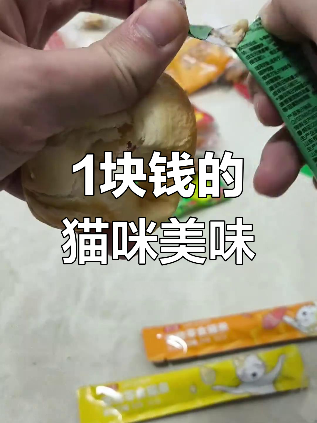 大学生活费1块,猫条夹心手撕面包尝鲜
