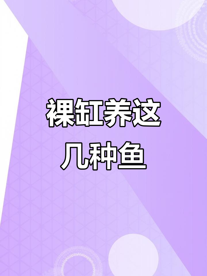 适合裸缸养的三种冷水鱼,温顺又长寿