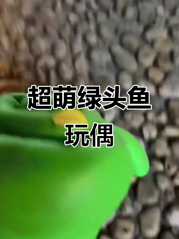闺蜜送的绿头鱼解压玩具,太可爱了!