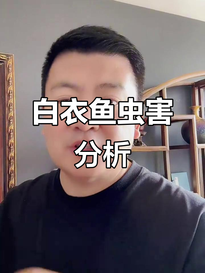 白色衣鱼虫危害大，吃头发衣物成灾