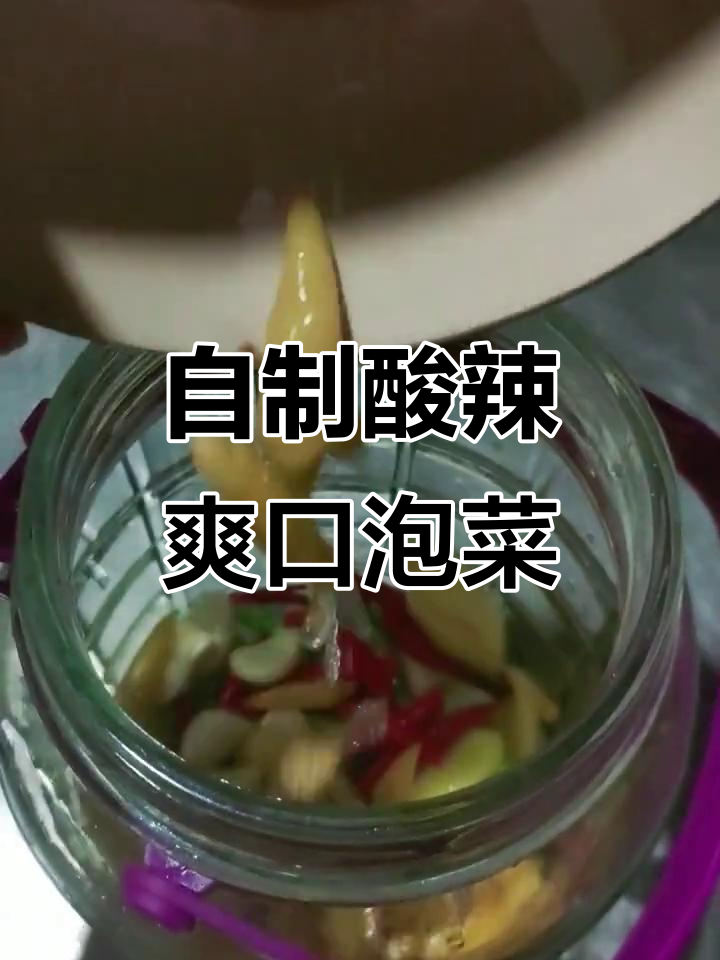 酸辣泡菜，包菜、胡萝卜等搭配制作，一年不坏！