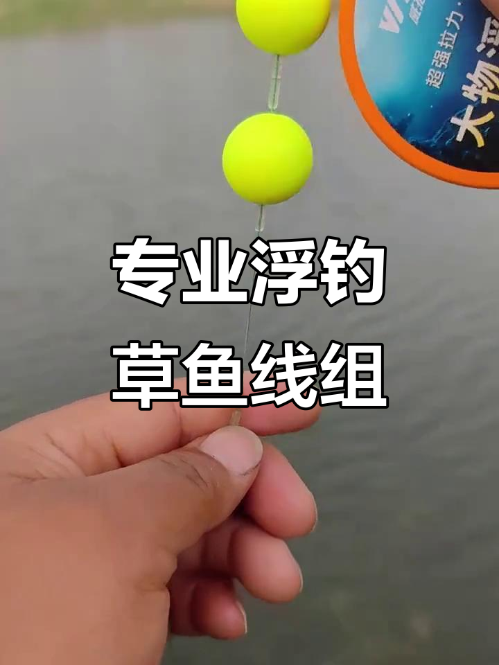 浮钓草鱼必备大物线组,轻松应对各种水域
