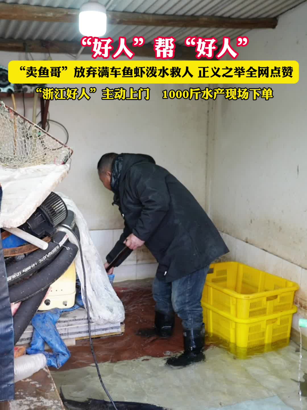 500公斤鱼,包了!金华“卖鱼哥”的鱼塘边 “浙江好人”现场下单