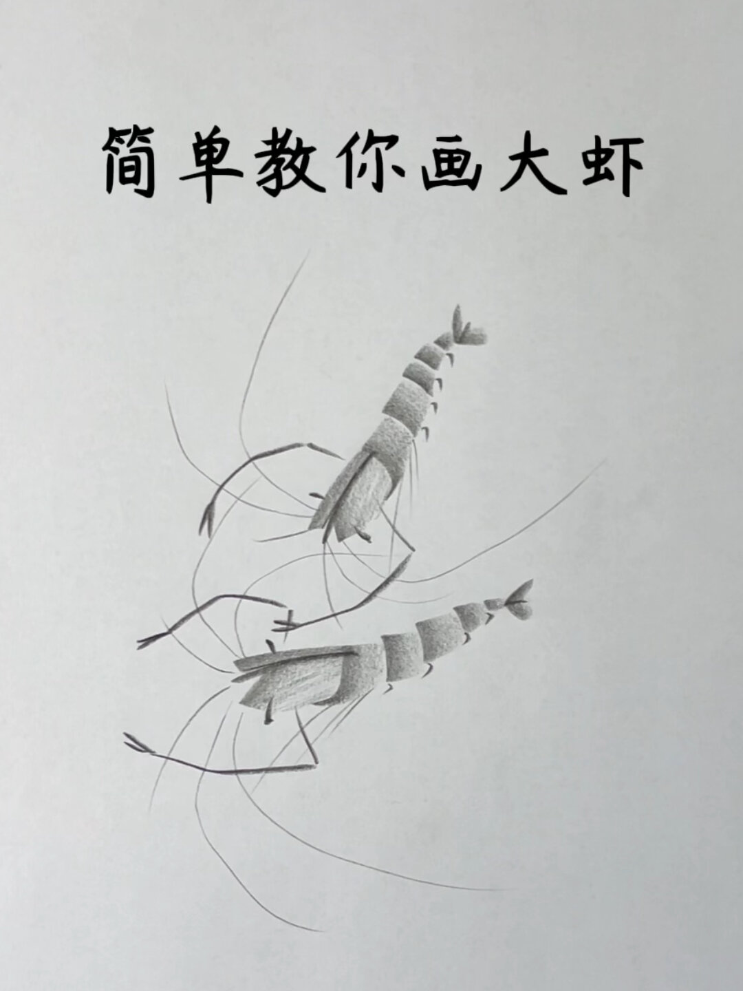 简单几笔教你画大虾
