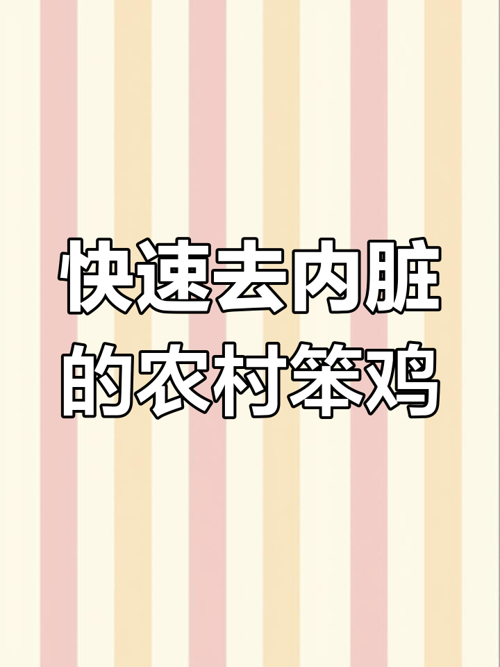 散养大公鸡开膛技巧,轻松搞定内脏处理