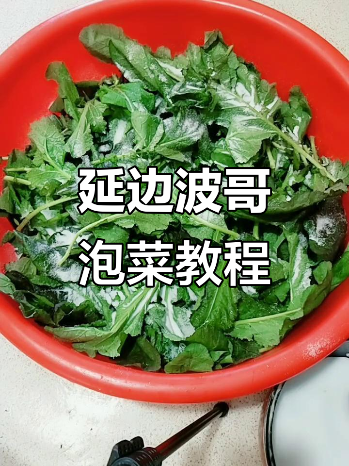 延边朝鲜族传统泡菜制作技巧,血里红盖菜的独特腌制方法