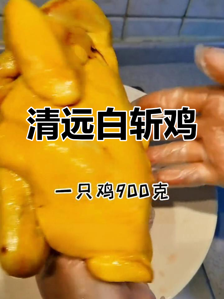 广东清远走地鸡,皮爽肉嫩的白斩鸡做法