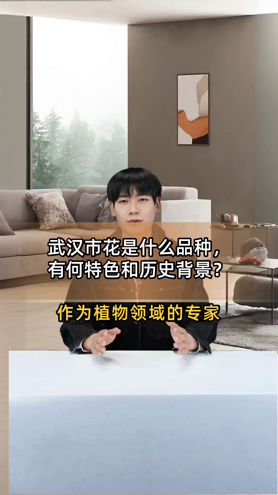 武汉市花是什么品种,有何特色和历史背景?