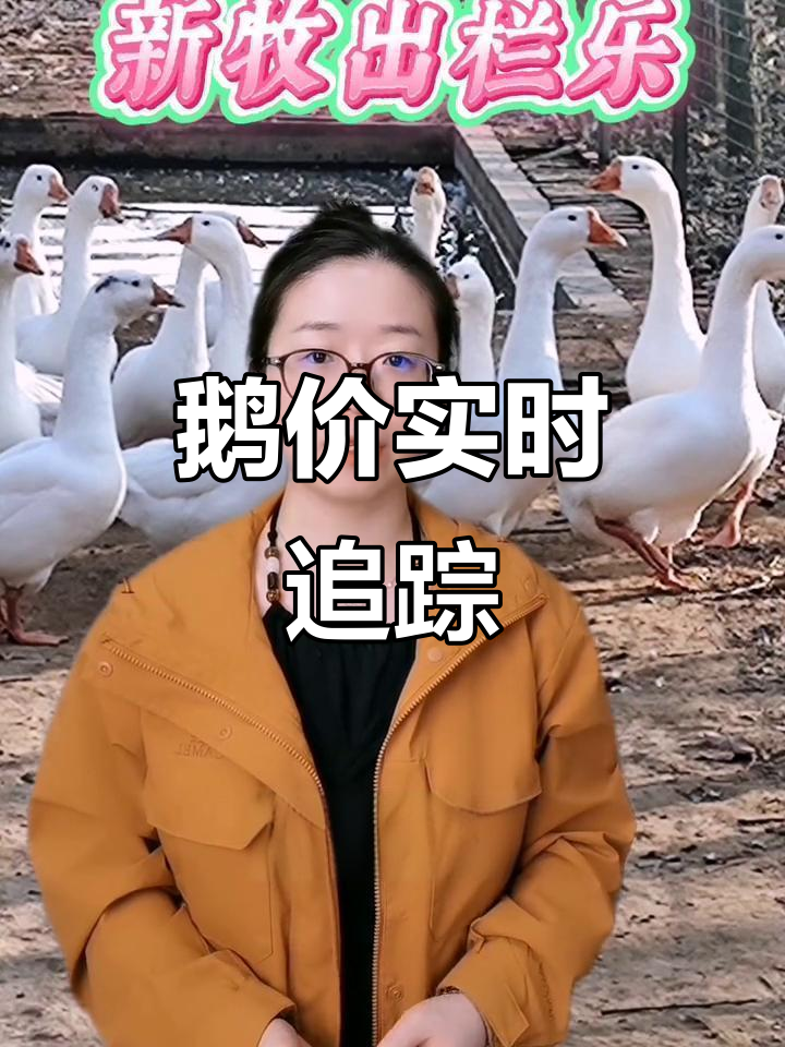 2025年4月25日鹅价实时更新,行情走势一网打尽!