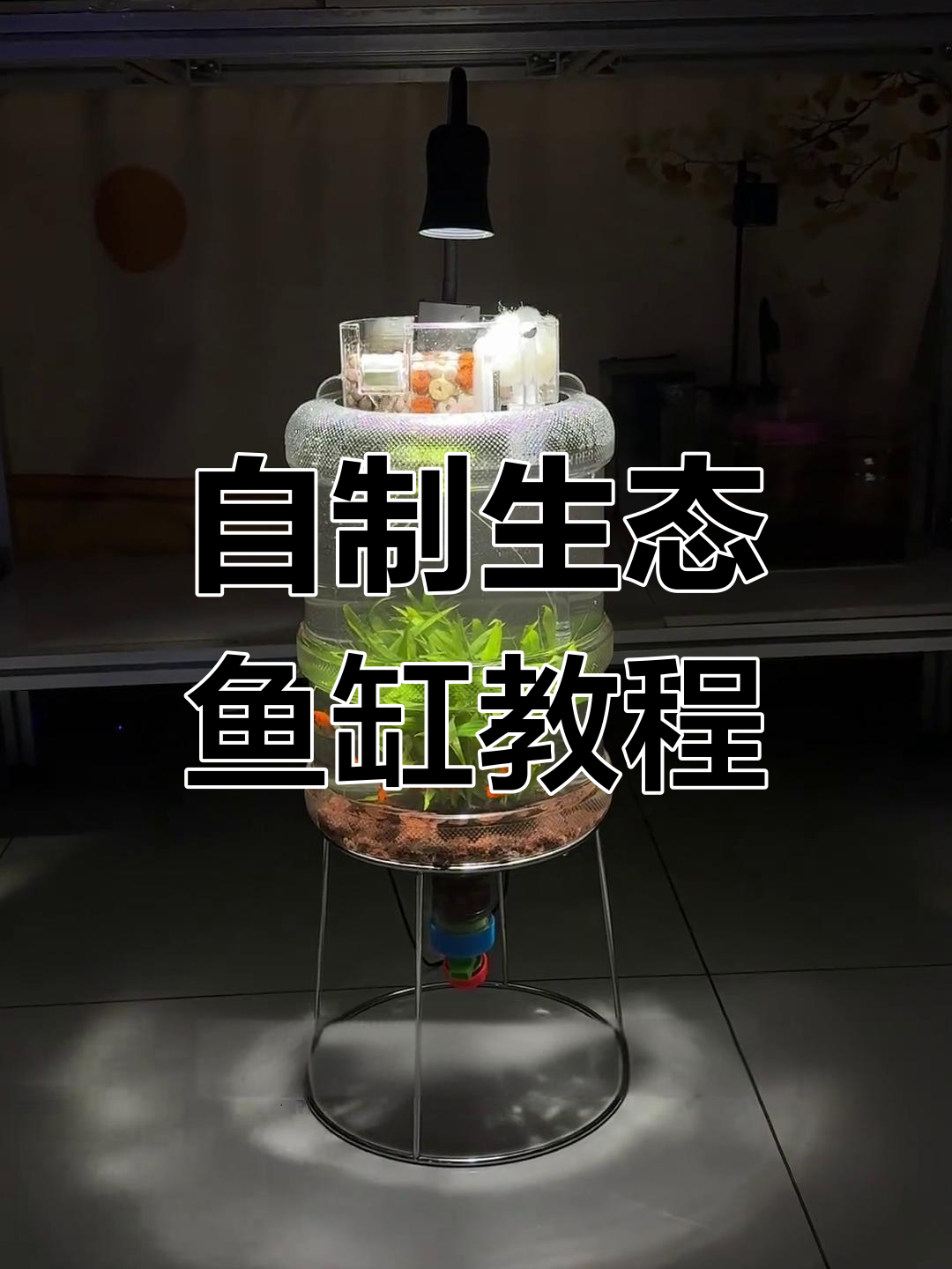 废物利用变鱼缸,18.9升大桶变身生态水族箱