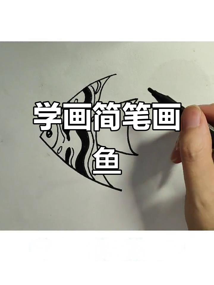轻松学画可爱鱼类,简单步骤教你画出栩栩如生的鱼