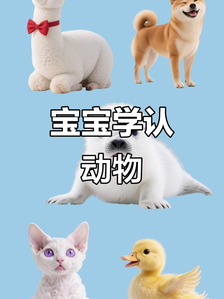 宝宝动物认知大挑战,羊驼小狗猫咪鸭子全学会