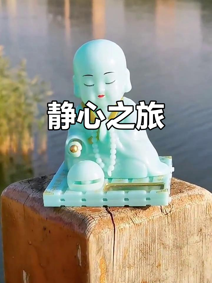 小和尚敲木鱼,光影中静心开车,美景令人陶醉